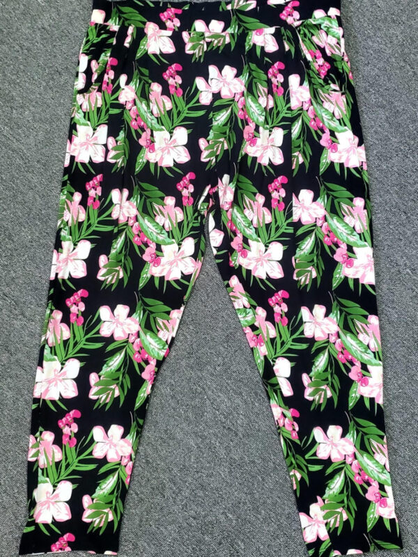 Ladies pant