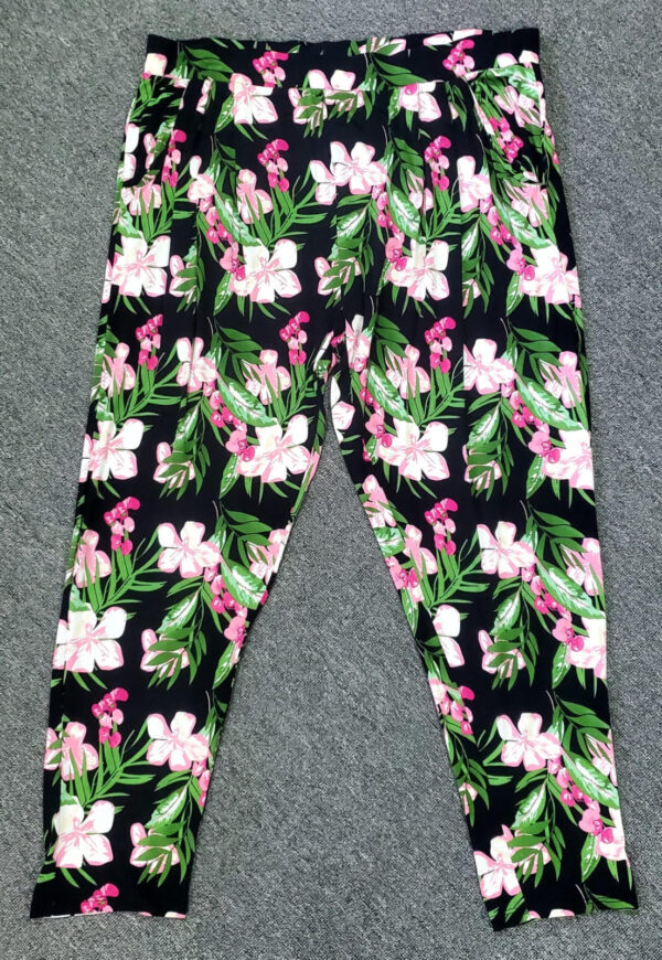 Ladies pant
